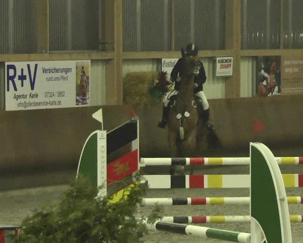 Reitturnier Dettingen 2017