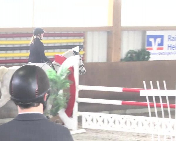 Reitturnier Dettingen 2017