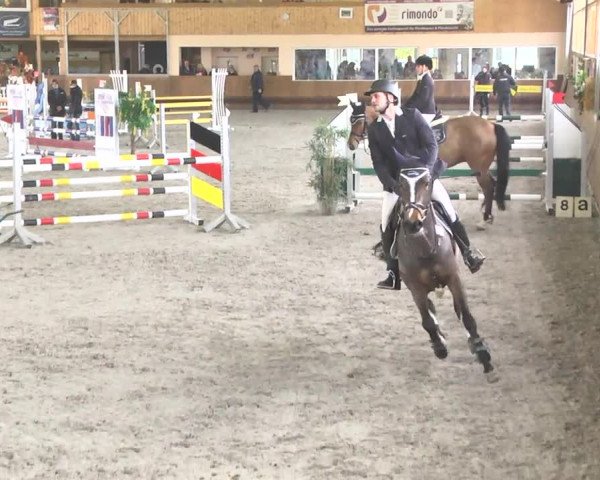 Reitturnier Dettingen 2017