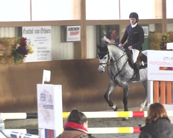 Reitturnier Dettingen 2017