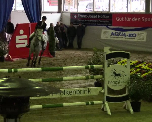 Hallenspringturnier Münster-Albachten 2017