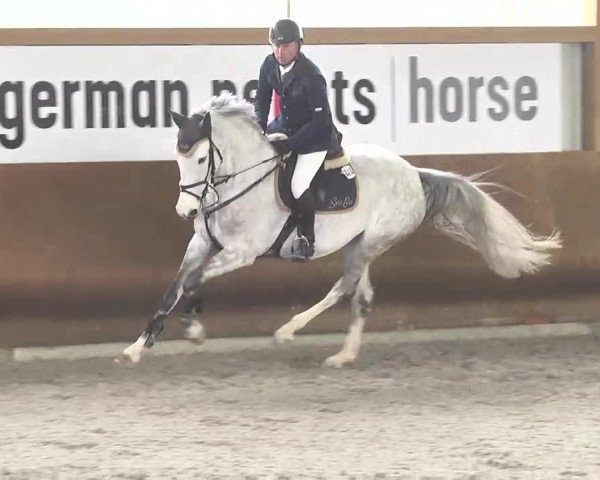 Reitturnier Dettingen 2017