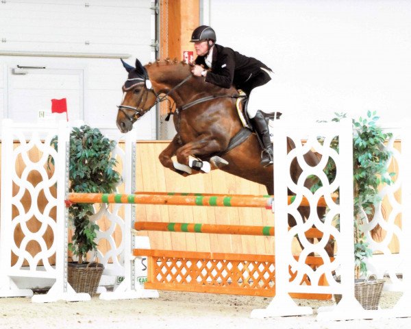 jumper Licora (Westphalian, 2012, from Lissaro)