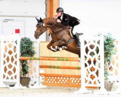 jumper Licora (Westphalian, 2012, from Lissaro)