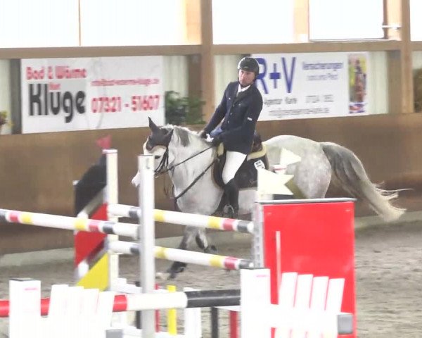 Reitturnier Dettingen 2017