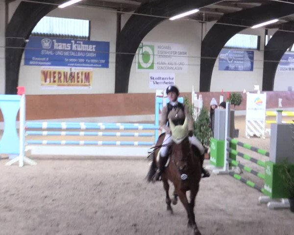 Reitturnier Viernheim 2017