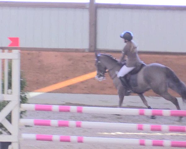 Reitturnier Viernheim 2017