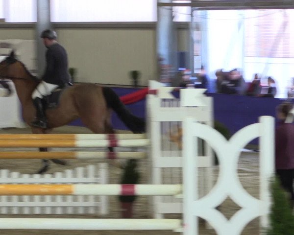 Reitturnier Arnsberg-Voßwinkel 2017