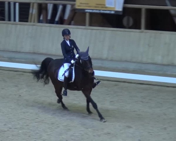 Reitturnier Heidelberg-Kirchheim 2017