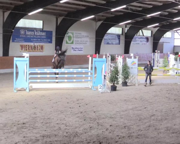 Reitturnier Viernheim 2017