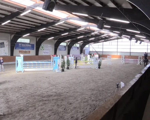 Reitturnier Viernheim 2017