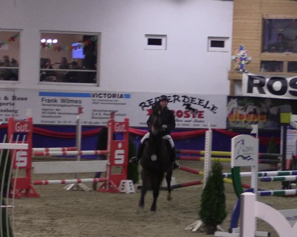 Reitturnier Arnsberg-Voßwinkel 2017