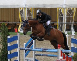 jumper Cosima CE (Oldenburg show jumper, 2003, from Caretello B)