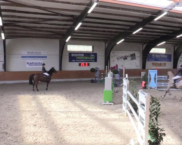Reitturnier Viernheim 2017