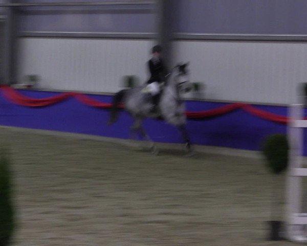 Reitturnier Arnsberg-Voßwinkel 2017