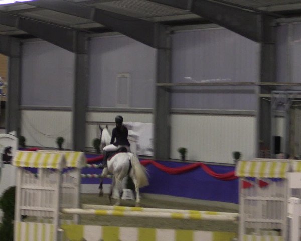 Reitturnier Arnsberg-Voßwinkel 2017
