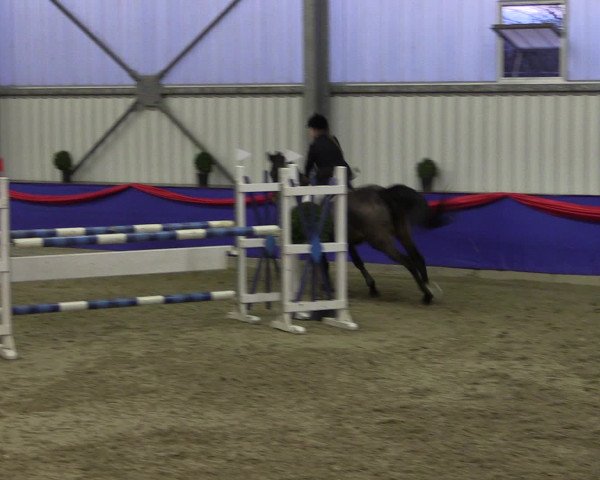 Reitturnier Arnsberg-Voßwinkel 2017