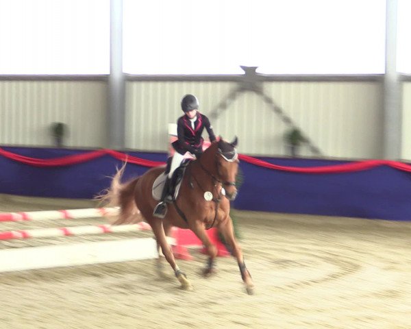 Reitturnier Arnsberg-Voßwinkel 2017