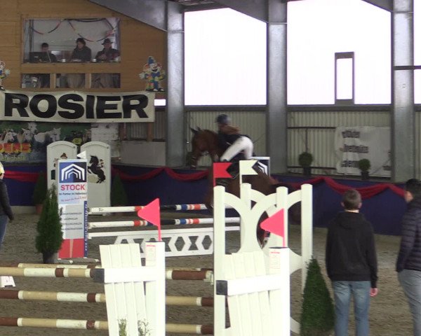 Reitturnier Arnsberg-Voßwinkel 2017