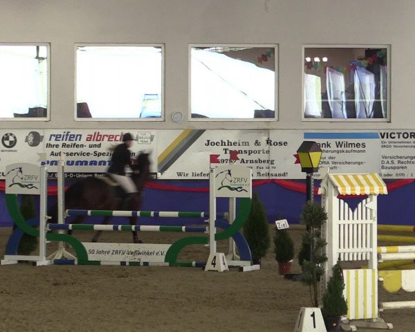 Reitturnier Arnsberg-Voßwinkel 2017