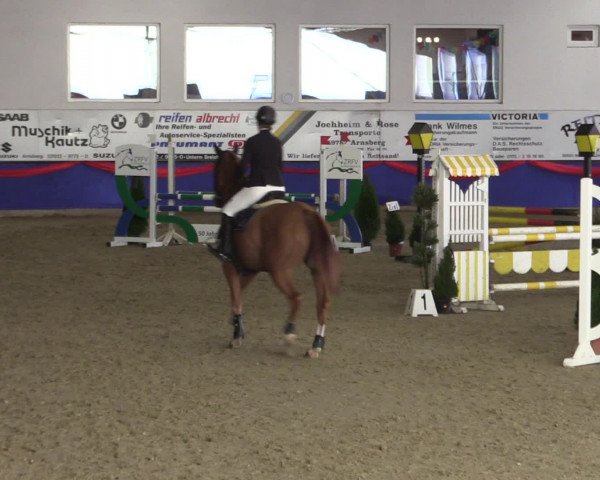 Reitturnier Arnsberg-Voßwinkel 2017