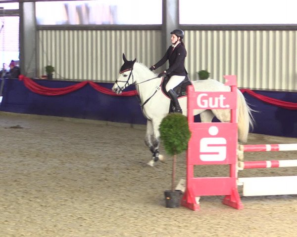 Reitturnier Arnsberg-Voßwinkel 2017