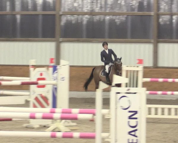Reitturnier Viernheim 2017