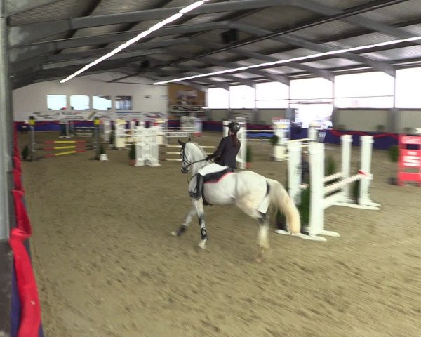 Reitturnier Arnsberg-Voßwinkel 2017