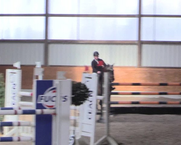 Reitturnier Viernheim 2017