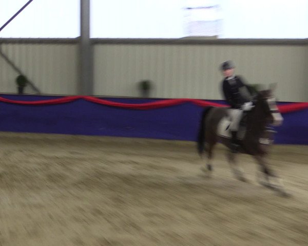Reitturnier Arnsberg-Voßwinkel 2017