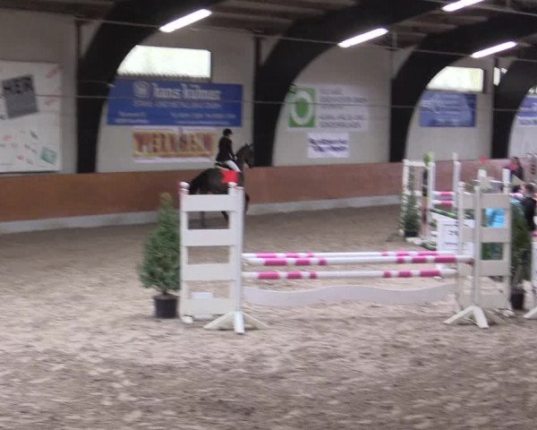 Reitturnier Viernheim 2017