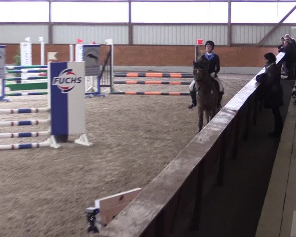 Reitturnier Viernheim 2017