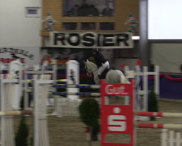 Reitturnier Arnsberg-Voßwinkel 2017