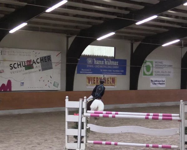 Reitturnier Viernheim 2017