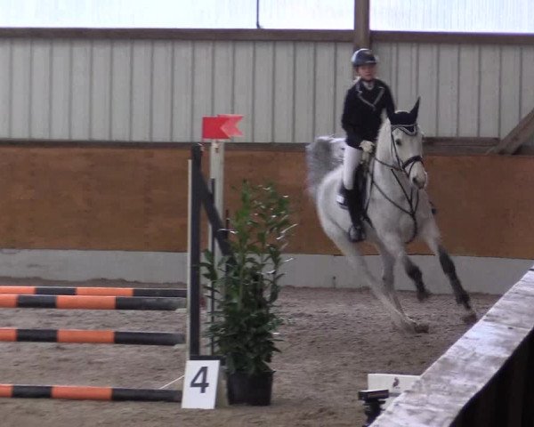 Reitturnier Viernheim 2017