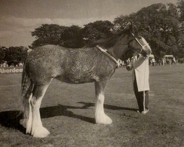 broodmare Bankend Jane (Clydesdale, 1995, from Doura Sir Charles)