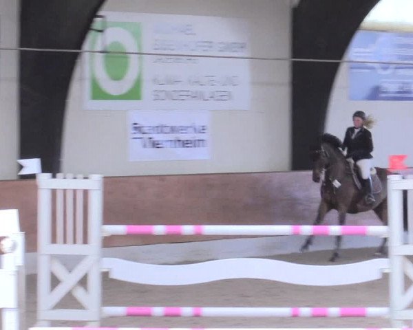 Reitturnier Viernheim 2017