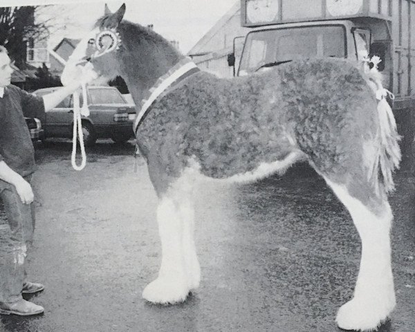broodmare Easter Littleward Lucinda (Clydesdale, 1996, from Collessie Cut Above)