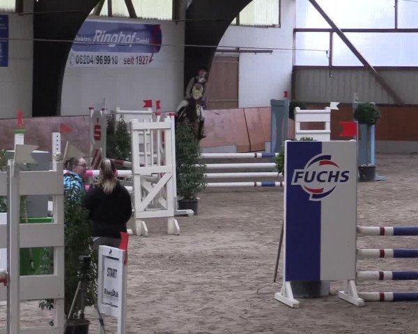 Reitturnier Viernheim 2017