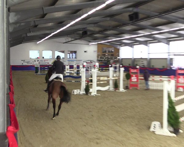 Reitturnier Arnsberg-Voßwinkel 2017