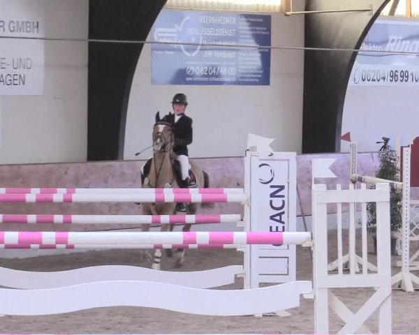 Reitturnier Viernheim 2017