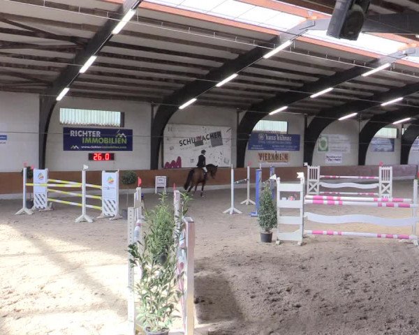 Reitturnier Viernheim 2017