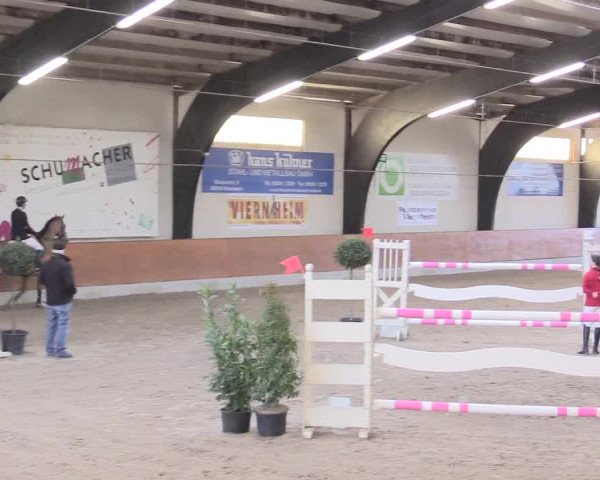 Reitturnier Viernheim 2017