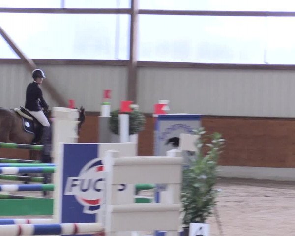 Reitturnier Viernheim 2017