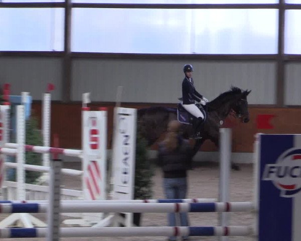 Reitturnier Viernheim 2017
