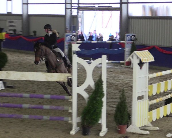 Reitturnier Arnsberg-Voßwinkel 2017