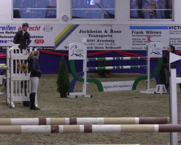 Reitturnier Arnsberg-Voßwinkel 2017