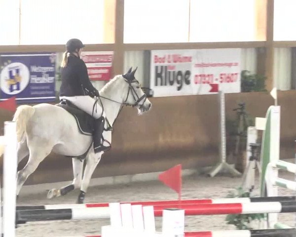 Reitturnier Dettingen 2017