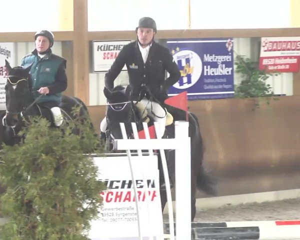 Reitturnier Dettingen 2017