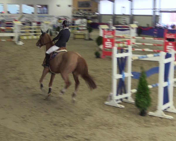 Reitturnier Arnsberg-Voßwinkel 2017